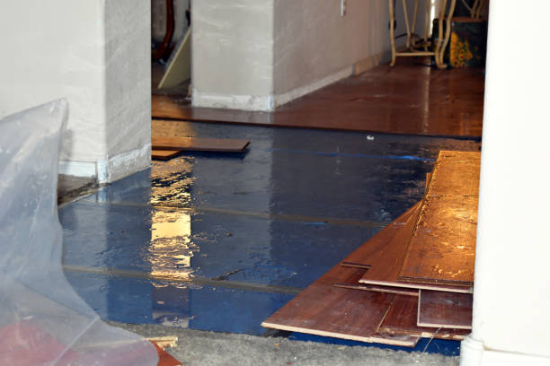 Professional Basement Water Removal technician working in Plymouth, IN
