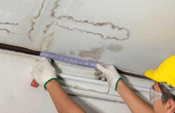Reliable Basement Water Removal contractor in Plymouth, IN by Water Damage Irwin